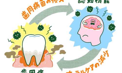 泡桐树有什么用-泡桐树的药用网泡桐树的果子药用价值知识网站,分享泡桐树有什么用大全