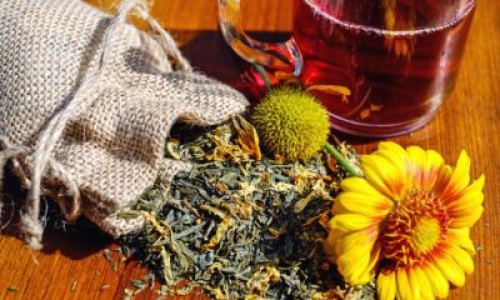 泡桐树有什么用-泡桐树的药用网泡桐树的果子药用价值知识网站,分享泡桐树有什么用大全